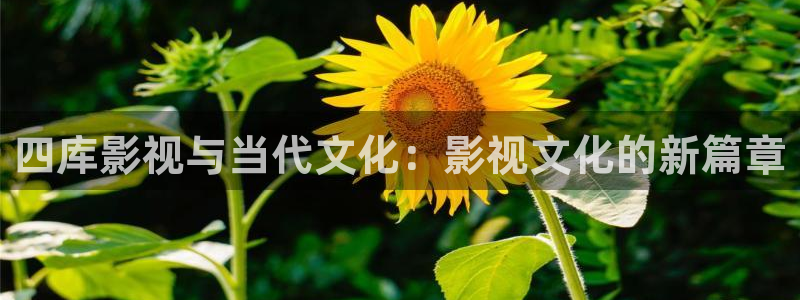 k8yy影院在线观看
