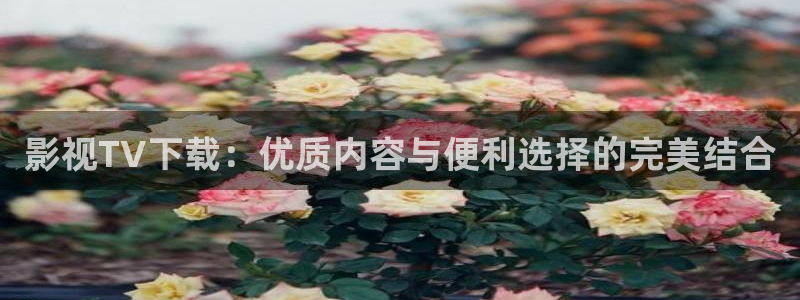 激情yy影院