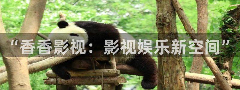 6080yy影院在线观看