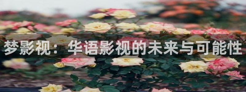 天天yy影院