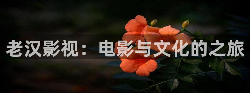 6080yy影院