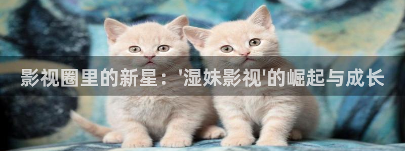 殇情4yy影院