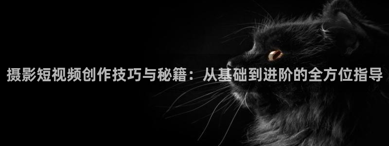 yy影院在线观看免费播放电视剧大全桔