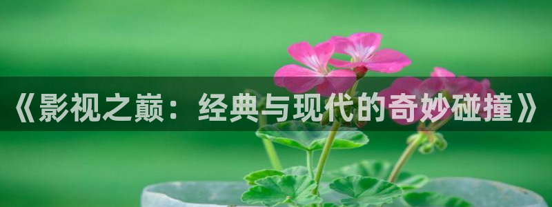 殇情4yy影院